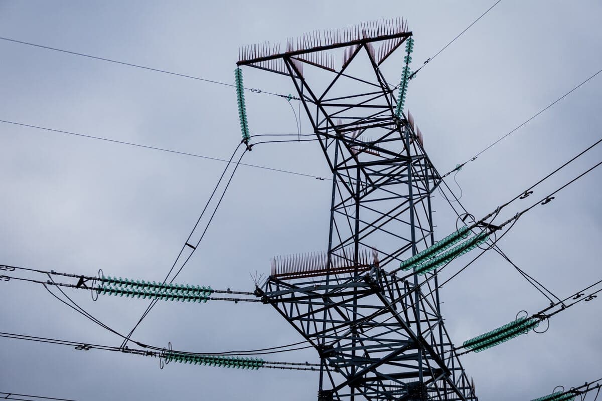 Since the beginning of the year, more than 13.6 hectares of space along the power lines have been cleared in Belarus to protect against falling trees