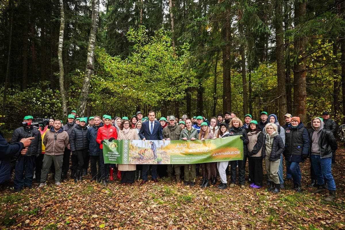 Photofact. Mininform and major media joined the republican action “Give the forest a new zhyzzo!”