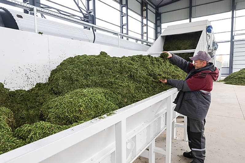 Almost 5 thousand tons of products per season: a new workshop for the production of vitamin and herbal flour was opened near Orsha