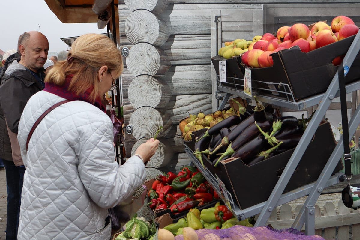 Potatoes for 80 kopecks, apples up to 4 rubles - learned that the prices at the autumn fair in Mogilev