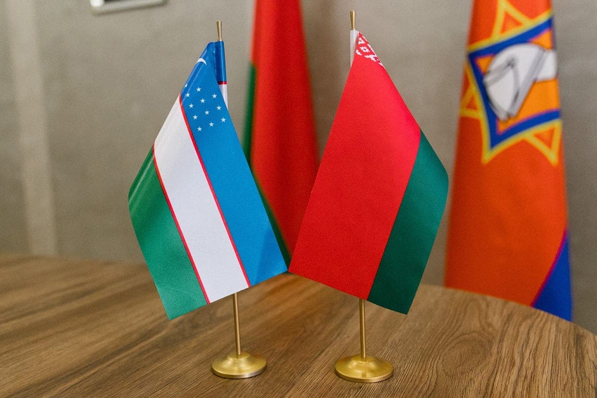 EMERCOM: Belarus and Uzbekistan consider cooperation in training of rescuers