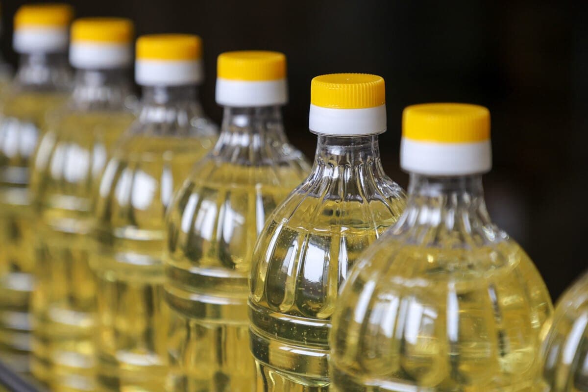 Groutso told how Belarus develops the production and export of rapeseed oil