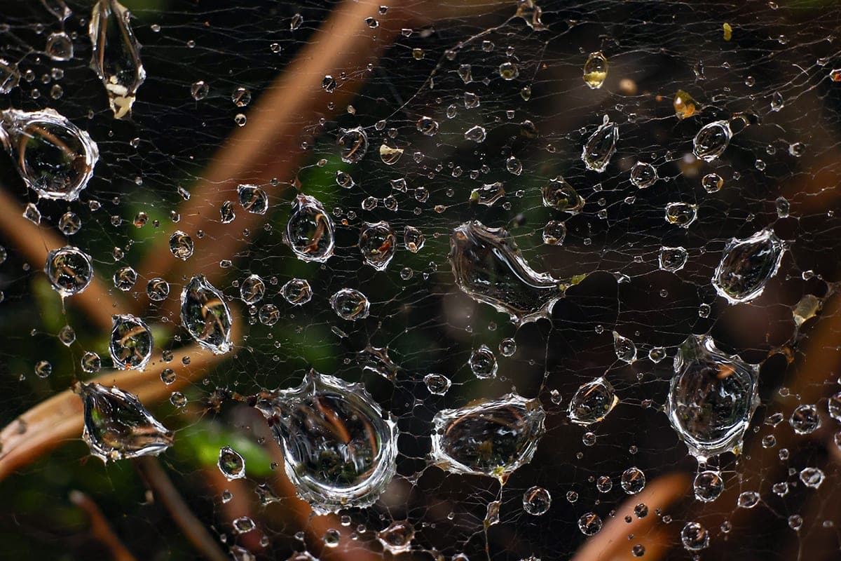 The Ministry of Emergencies recalled the danger factors due to heavy rains