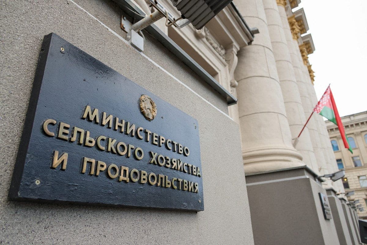 Госреестр пополнился уникальным сортом сои — в Минсельхозпроде перечислили преимущества новинки