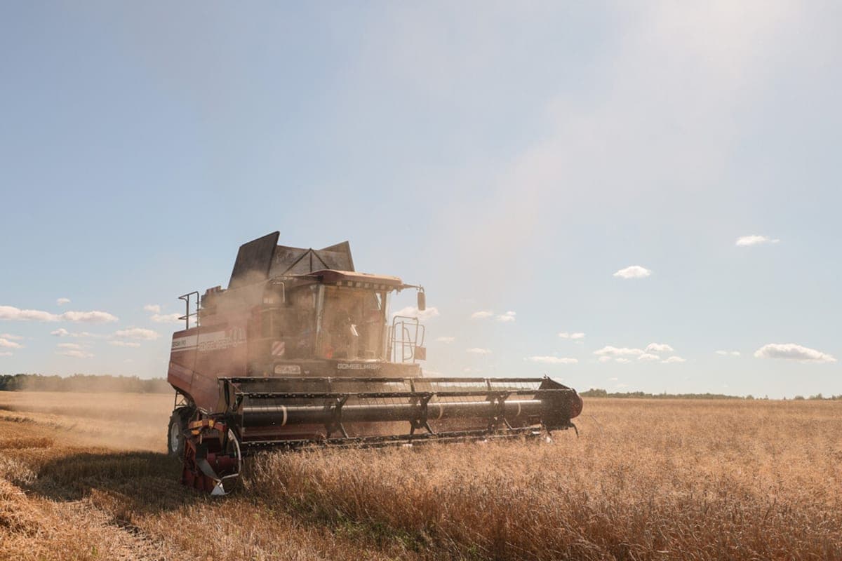 Agrarians of Belarus threshed more than 9.7 million tons of grain with rapeseed and corn