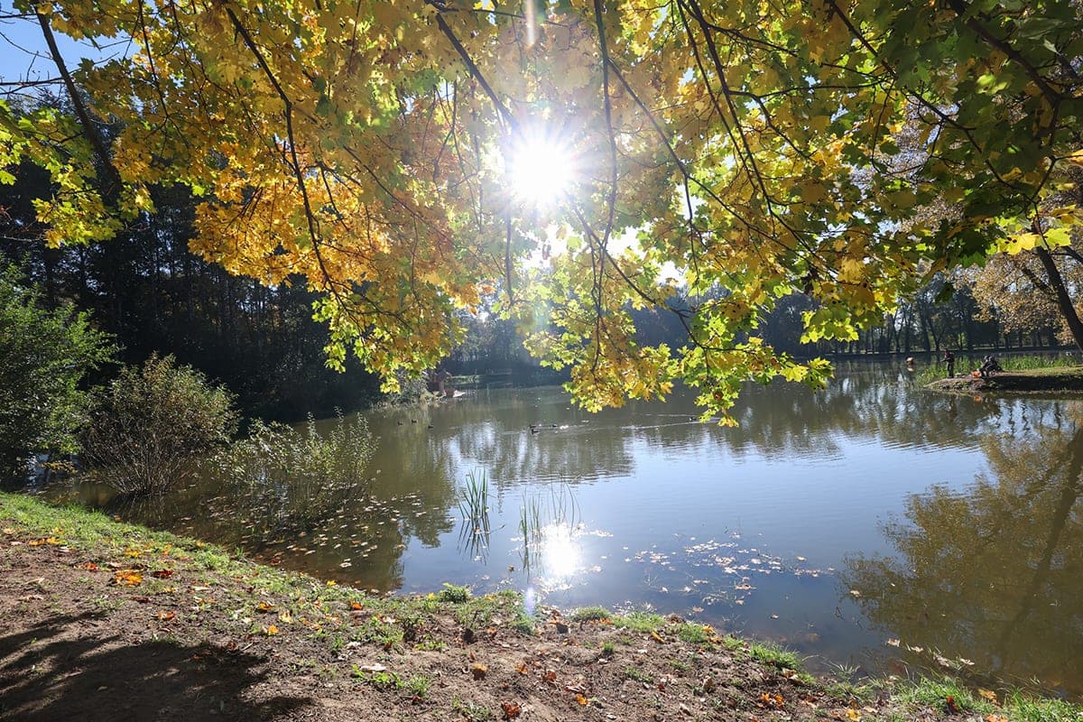 Find out what the weather will be in Minsk and the regional centers of Belarus night and day on October 10