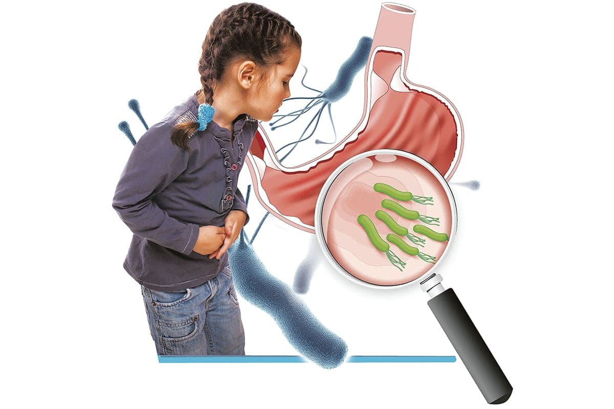 Rigid and dangerous. What is important to know about the diagnosis and treatment of Helicobacter bacteria in children