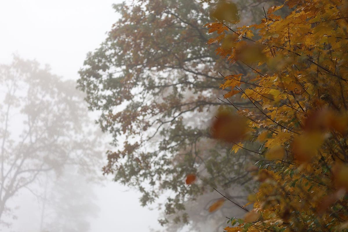 Why on October 24, you couldn’t look at the crows