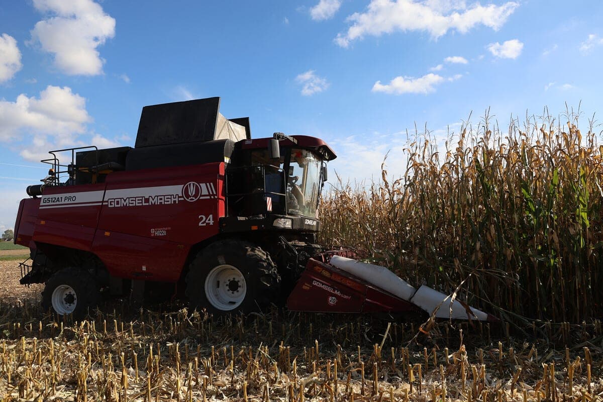 Belarusian farmers threshed more than 10.6 million tons of grain, including rapeseed and corn