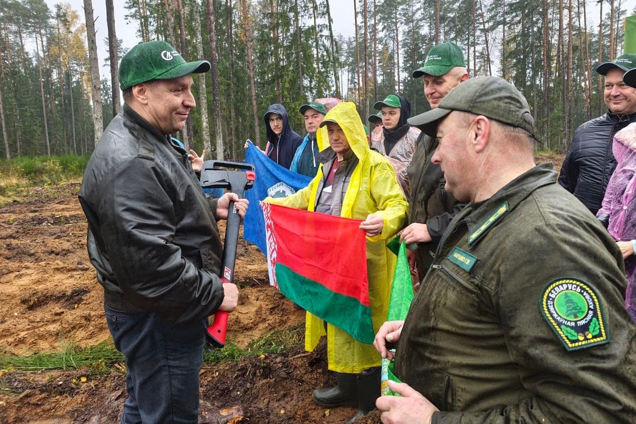 Коллектив Минсельхозпрода высадил более 4 тысяч саженцев в Столбцовском районе