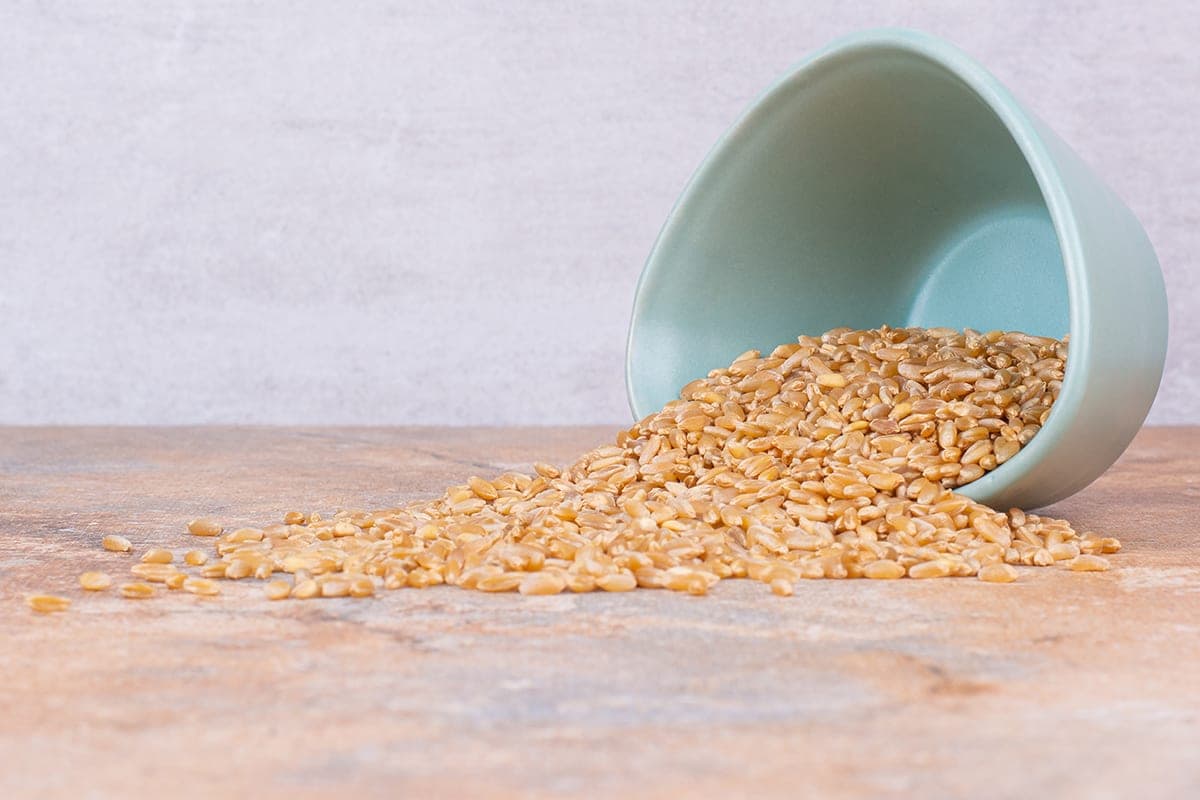 Dzavar porridge: useful properties, cooking rules and the best additives