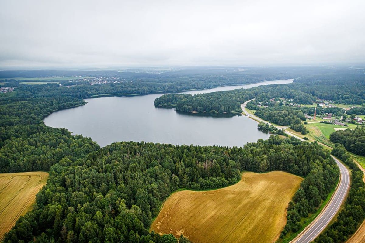 In the Vitebsk region transferred under protection new growing places of wild red book plants