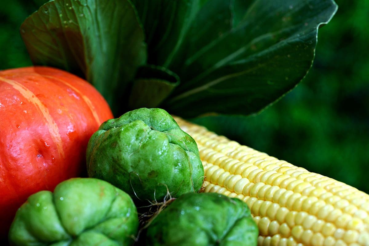 Spinach, pumpkin and corn: what foods to include in the diet to maintain eye health