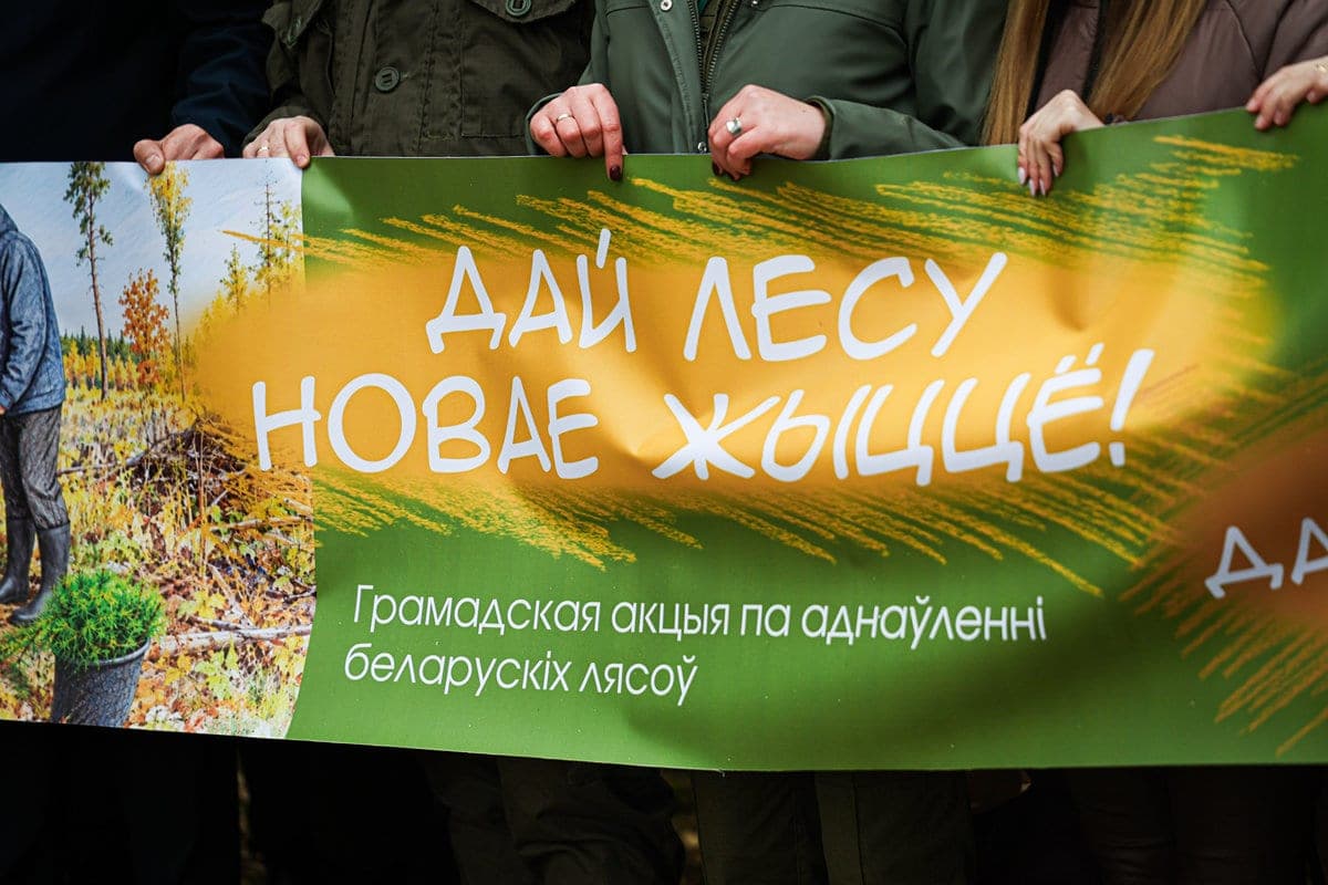 Representatives of the Ministry of Information and the media planted about 13 thousand seedlings as part of the action “Give the forest a new zhyzzo!”