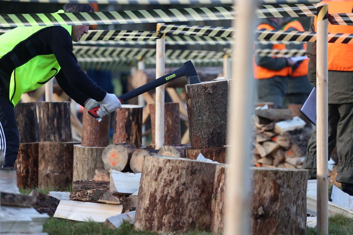 Started accepting applications for the championship on wood picking among the media