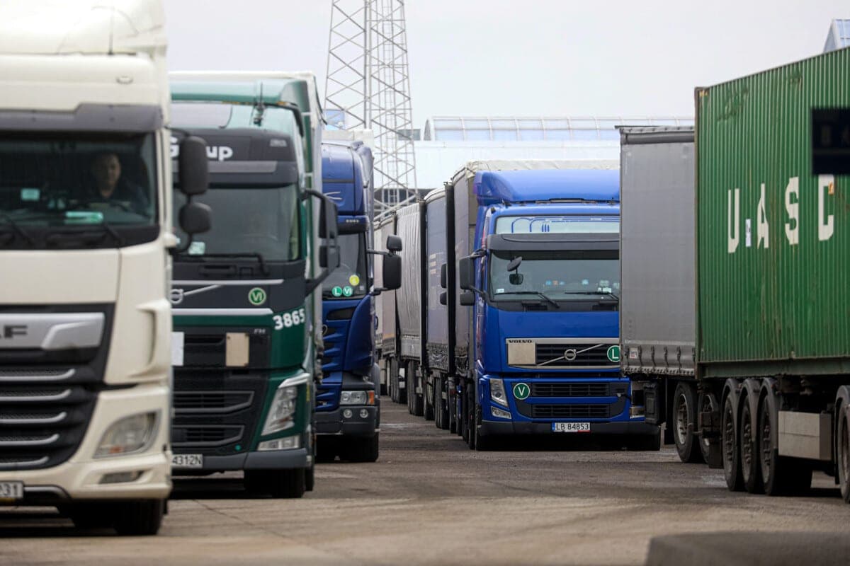 Les régions de Gomel et de Bryansk continuent d'augmenter le chiffre d'affaires