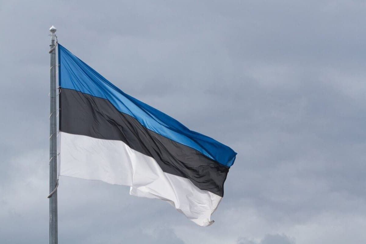 СМИ: Эстония намерена закупить вооружения и боеприпасы на € 195 млн