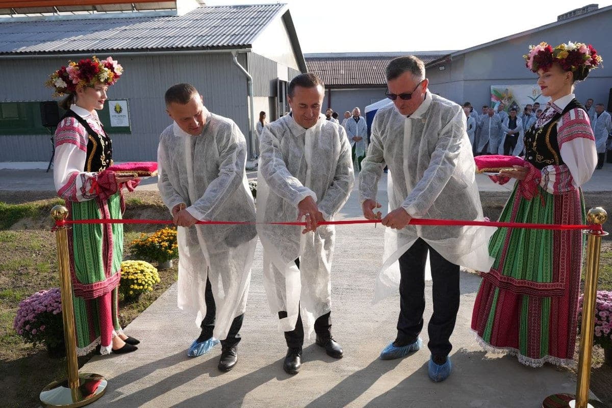 In the Brest region this year put into operation 39 dispensaries for calves