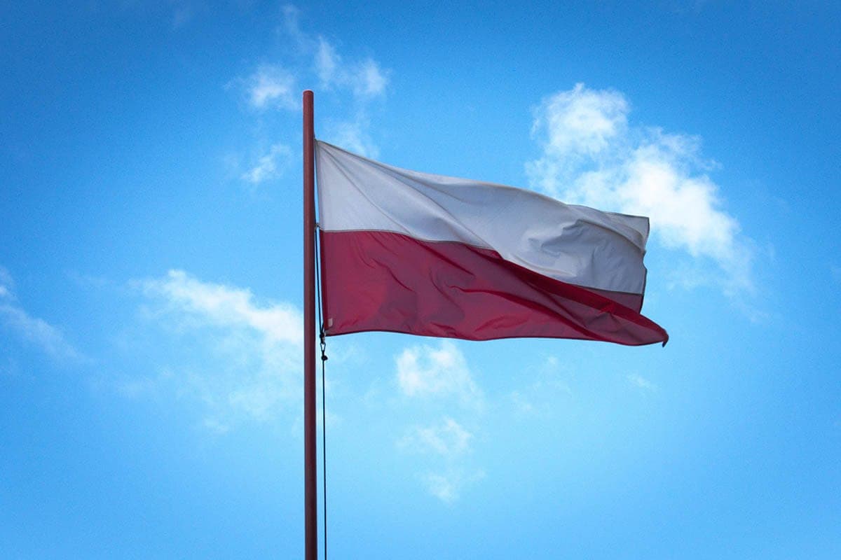 More than 100 schoolchildren detained in Poland over attacks on schools