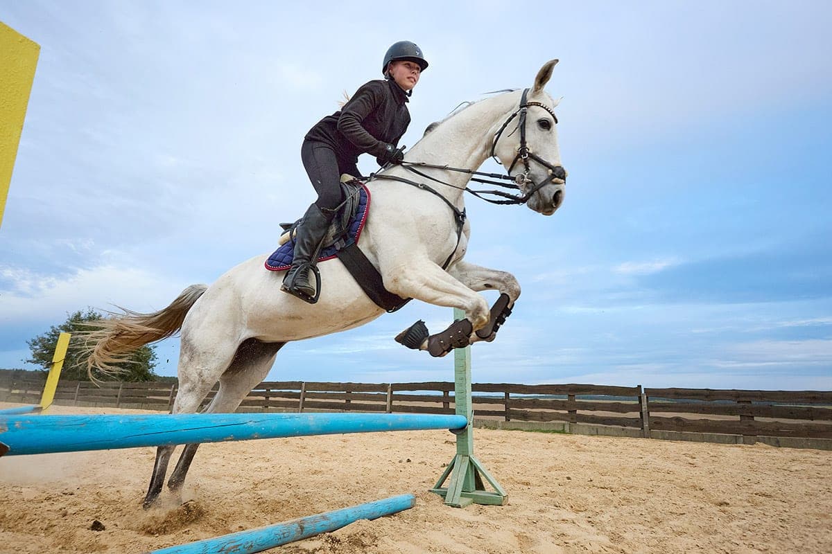 Dreams of the Olympics, young jockeys and horses - visited the equestrian sports department of the DYUSS trade unions in Volkovysk