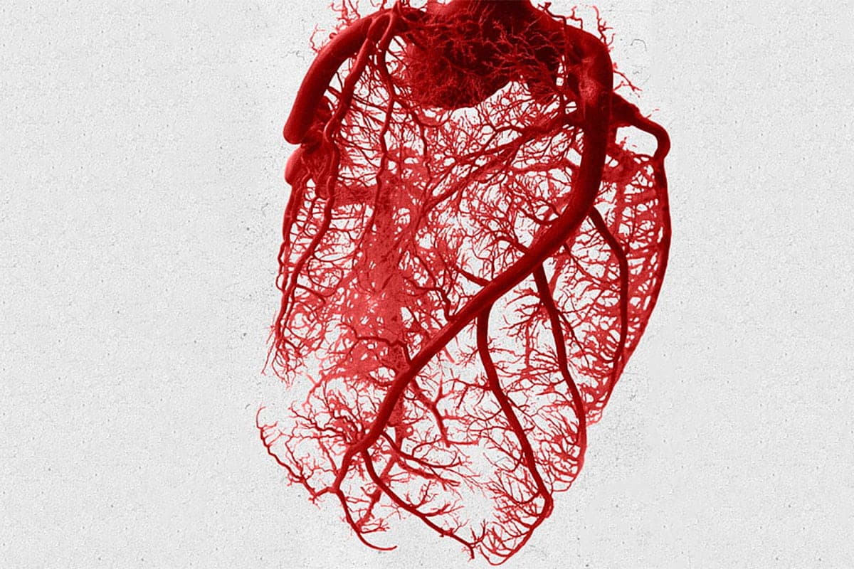 Une nouvelle lecture du roman de Shamyakin, "Heart in the Palm" a été montrée au théâtre Kupalovsky