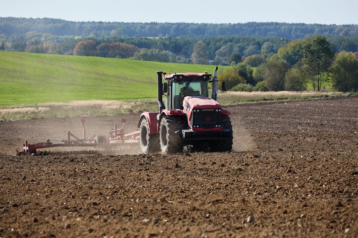 Until October 20, agricultural enterprises of the Grodno region plan to complete the harvesting of corn on silos