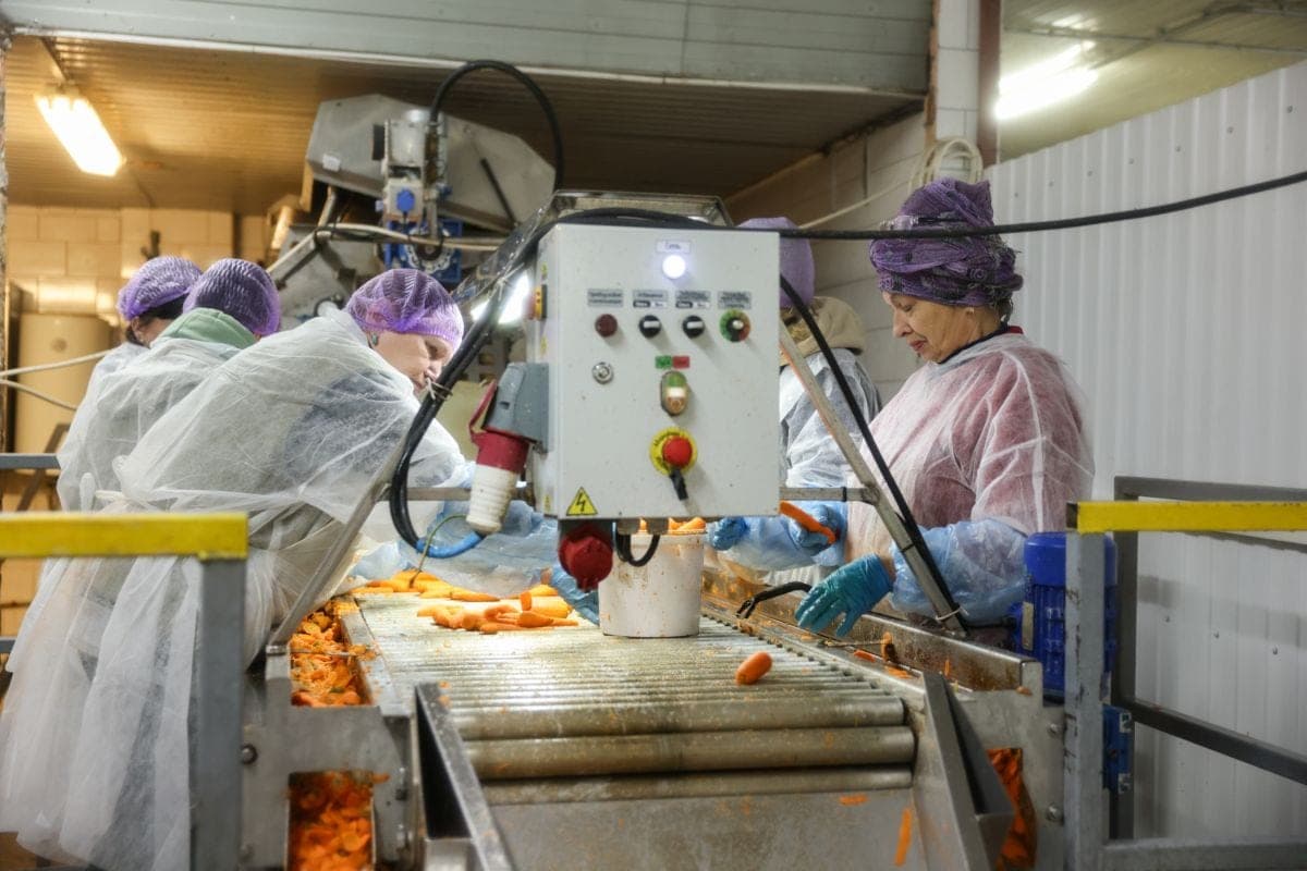 Стабфонды Беларуси на межсезонье: запасов плодоовощной продукции хватит всем с запасом