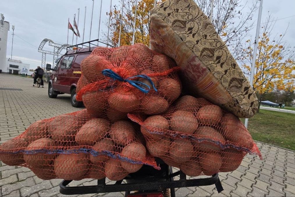 " Perschflower " for the soul, “Breeze” for fries: what potatoes Belarusians buy at fairs