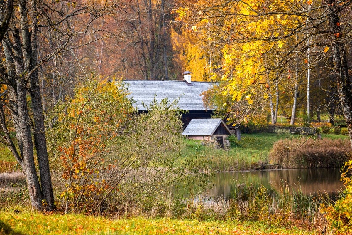 Fotoskizze. Herbstgold Vyazynki: Schlendern durch das Denkmalreservat