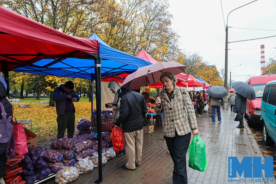 2026 10 25 obshhestvo yarmarka shabala 1 kopiya