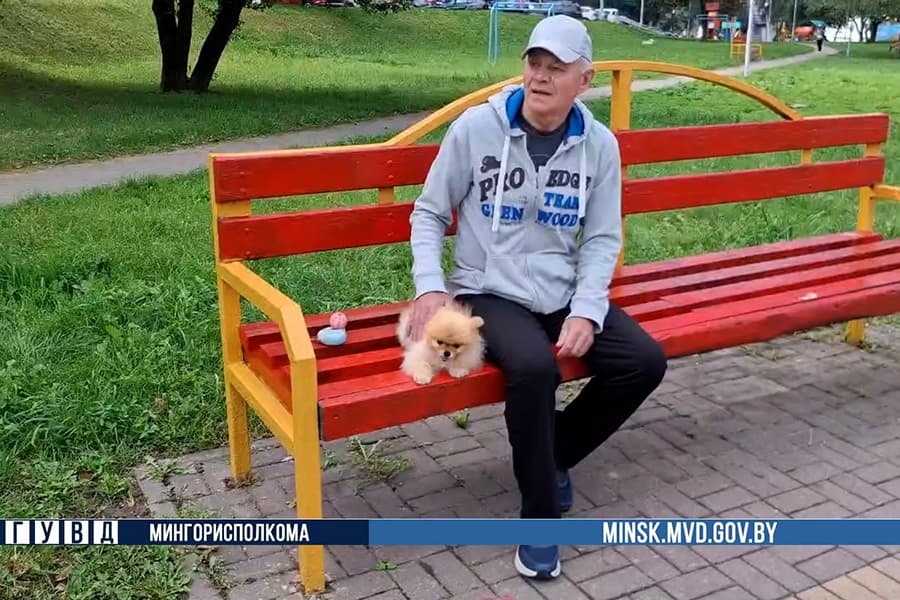 Инцидент с собакой во время забега прокомментировали его участник и милиция Минска