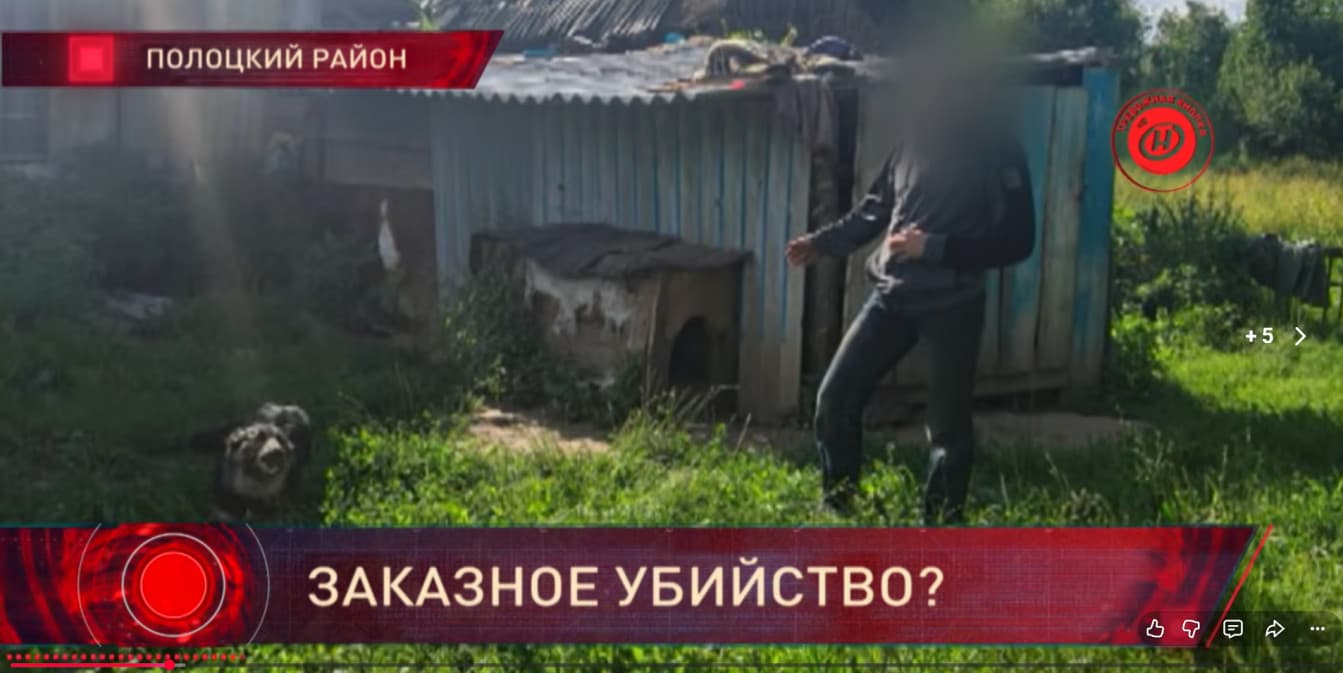 Под Полоцком мужчина по заказу зарубил собаку. Подробности ужасного дела – в «Тревожной кнопке»
