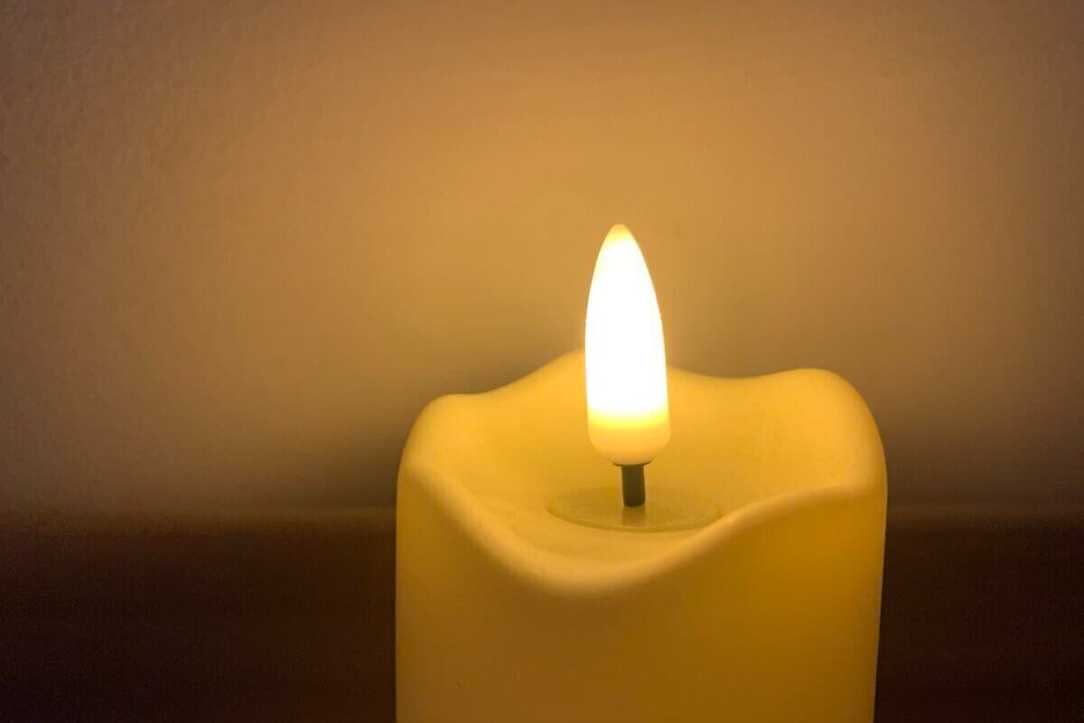 В Воронеже простились со старшим преподавателем ВГТУ Еленой Болдиновой