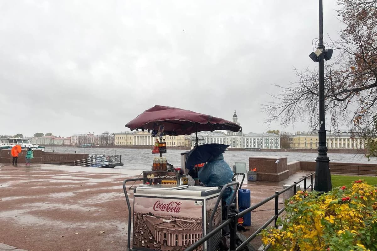 Петербуржцев предупредили о сильном ветре в выходные