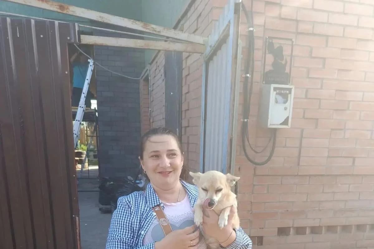 Красноярские полицейские вернули домой пропавшую собаку