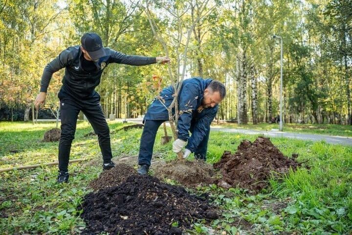 В кировском парке высадят 180 деревьев и почти 400 кустарников