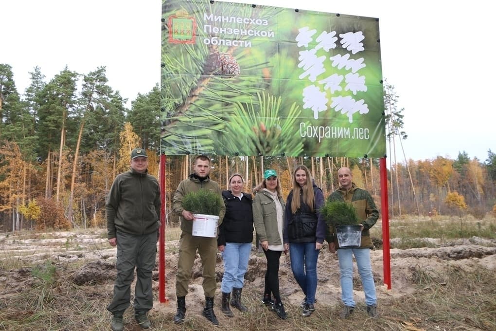 Пензенцы высадят более 50 тысяч саженцев