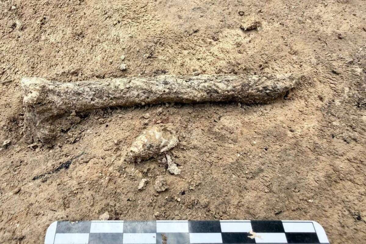 В Костенках нашли древние украшения возрастом более 41 тысячи лет