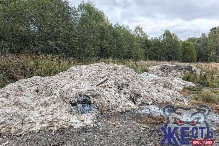 Ярославцы рассказали о второй вонючей кучи с потрохами