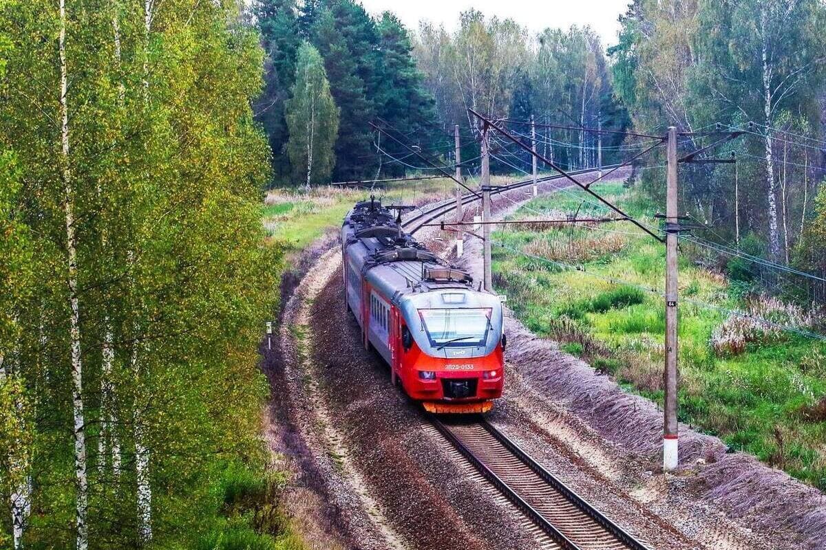 Жительница Ярославской области потребовала 2 миллиона за отрезанную поездом ступню
