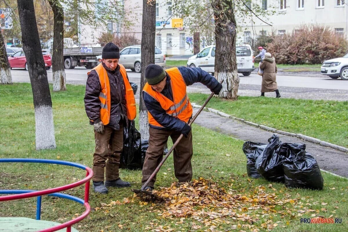 Осень в Кузбассе набирает обороты: дожди и похолодание к выходным