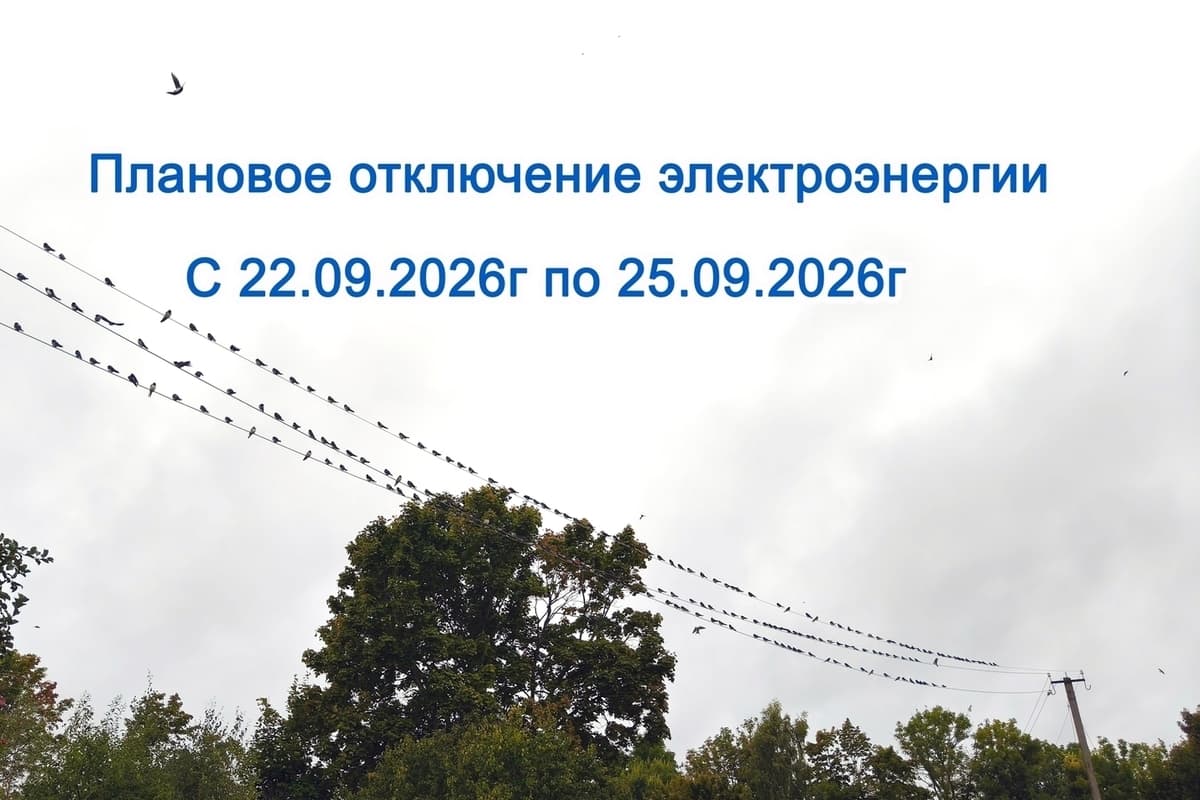 В Новоржевском округе с 21 по 25 сентября отключат электричество в нескольких деревнях