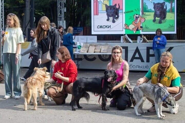 На выставке «Пойдём домой!» 26 бездомных животных обрели хозяев в Рязани