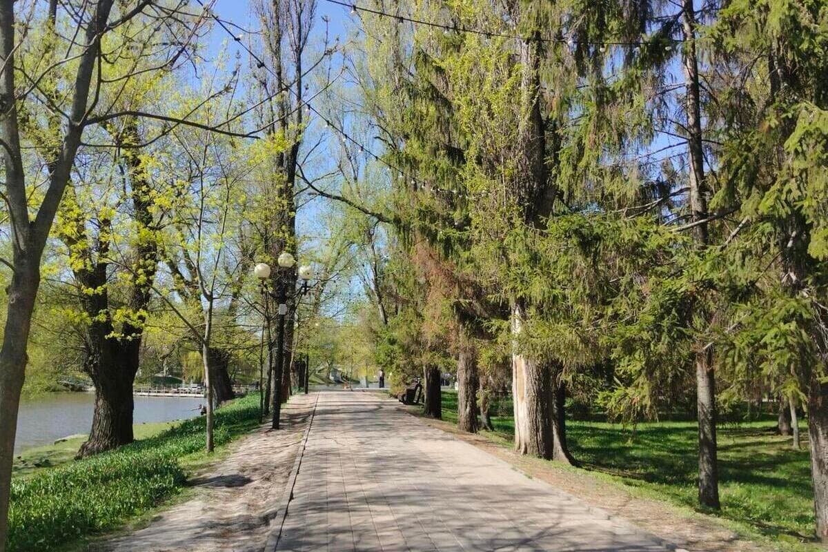 Белгородские власти планируют развивать сеть велопарковок