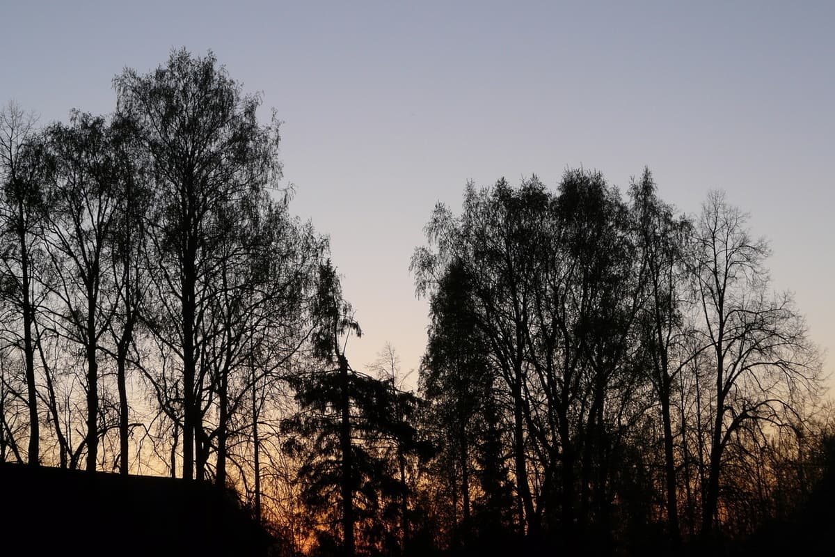 Погода в НАО: до 13 градусов выше нуля