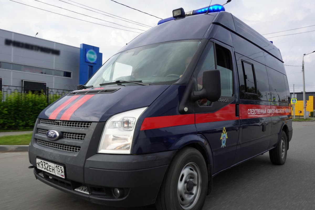 В Прикамье несовершеннолетнюю жительницу Пскова будут судить за покушение на убийство