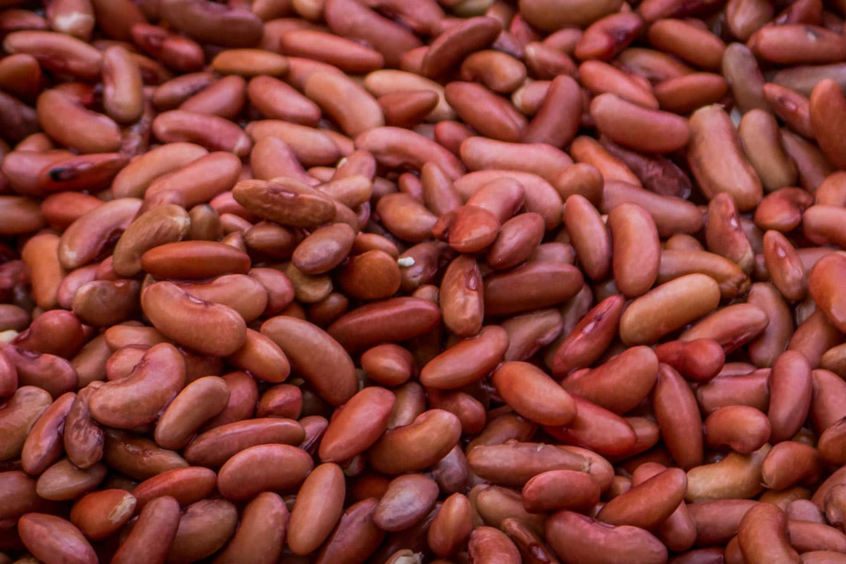 Консервированная фасоль — суперфуд или продукт, которого стоит избегать?
