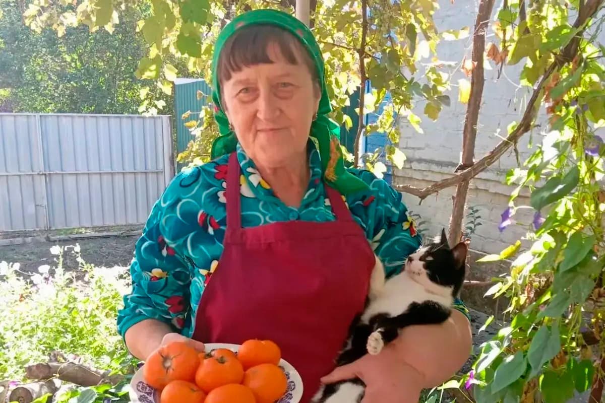 Подопечные соццентра в Новоазовском округе собирают урожай