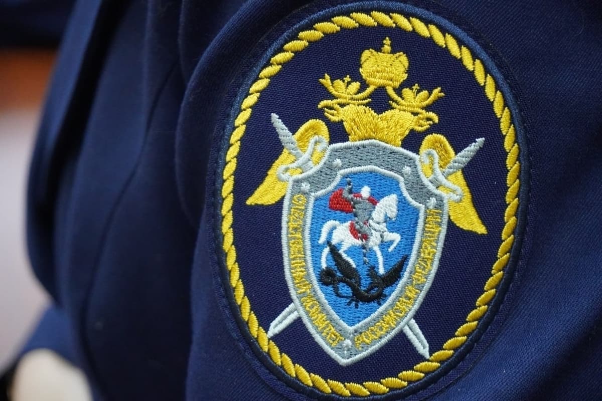 В Прикамье участники преступной группы осуждены за администрирование сим-боксов
