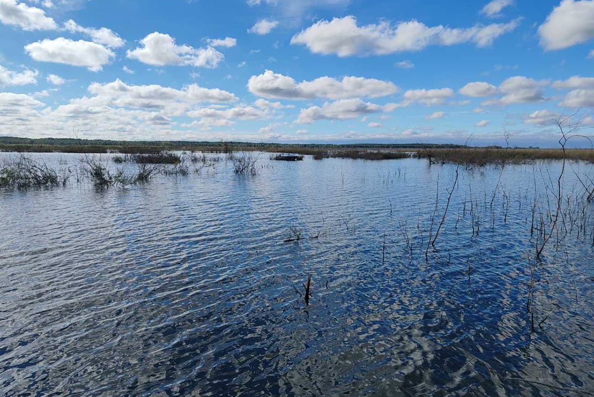В Лоеве рыбак утонул, выпав из лодки без спасательного жилета